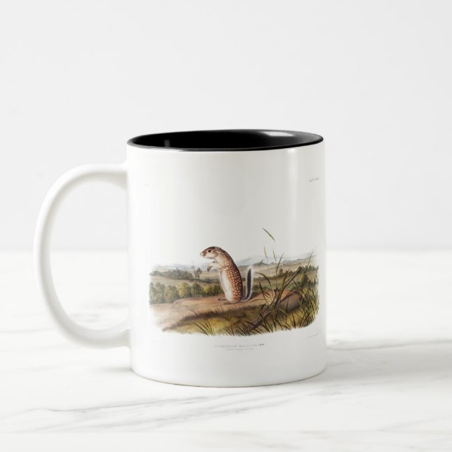 Mexican Marmot Squirrel Camping Deco Gifts Two-Tone Coffee Mug (Left)