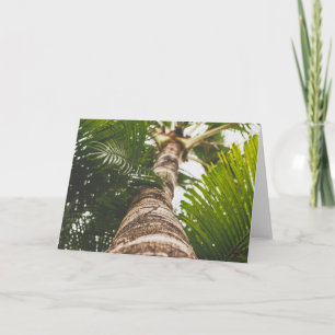 Mexican Palm Tree From Below Card