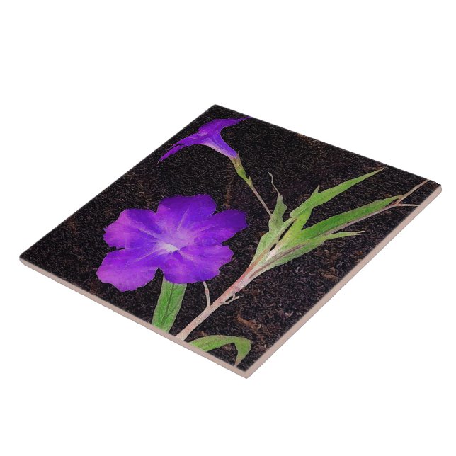 Mexican Petunia Purple Ceramic Tile (Side)