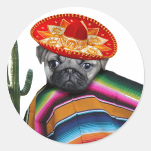 Mexican pug dog classic round sticker