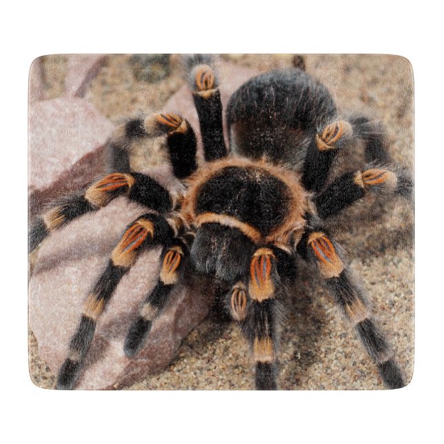 Mexican Red knee Tarantula Spider Cutting Board (Front)