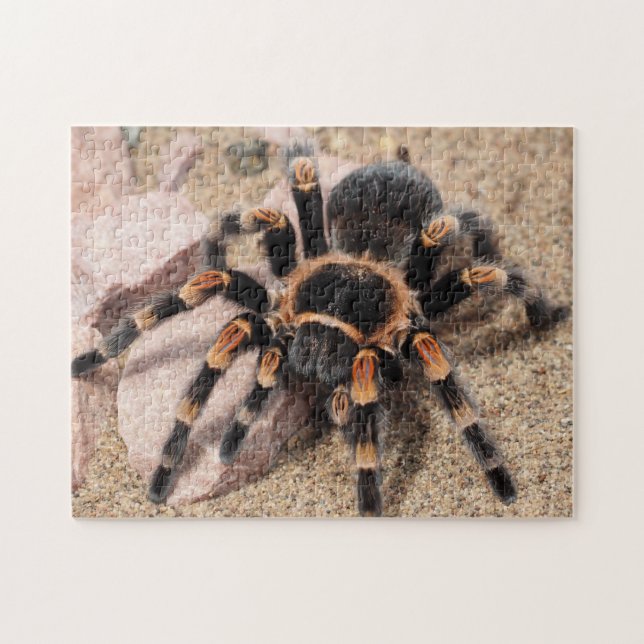 Mexican Red knee Tarantula Spider Jigsaw Puzzle (Horizontal)