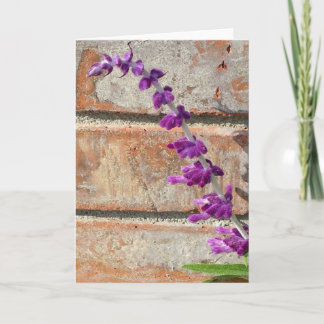 Mexican Sage Fluorishes Against Warm Brick Card