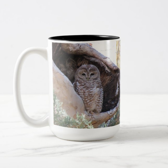 Mexican Spotted Owl Mug, left-handled Two-Tone Coffee Mug (Left)