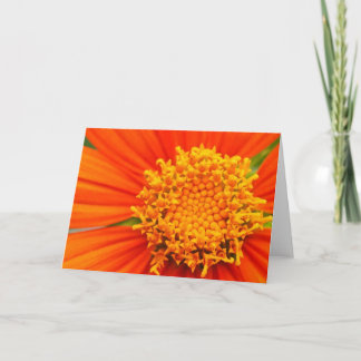 Mexican Sunflower Card