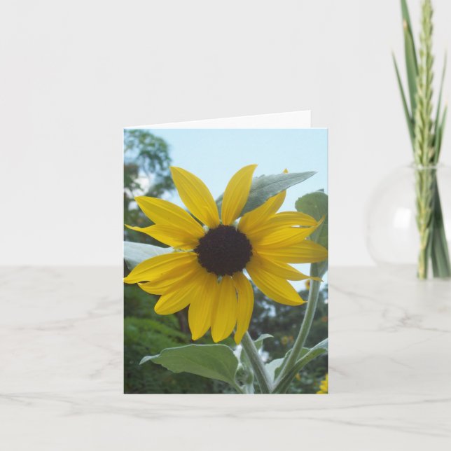 Mexican Sunflower Photo Folded Note Card (Front)