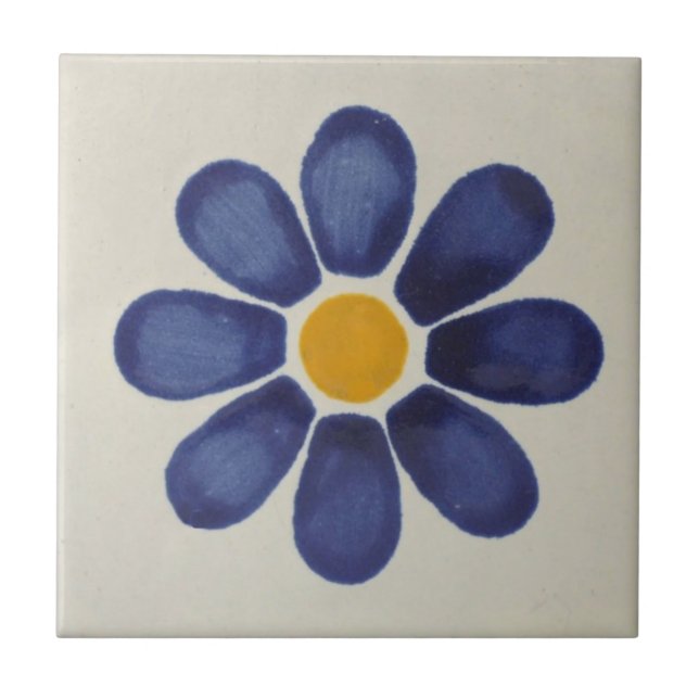 Mexican Tiles Hand Painted Backsplash 6 (Front)