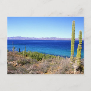 Mexico, Baja California Sur, Mulege, Bahia 2 Postcard