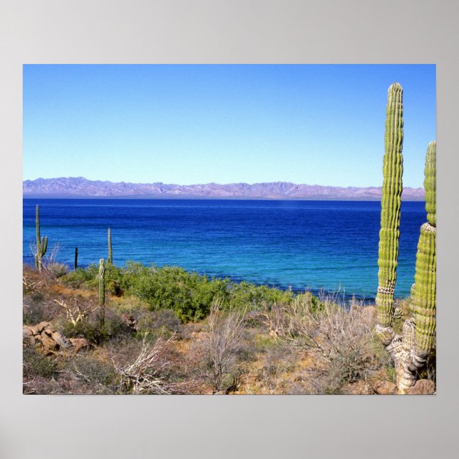 Mexico, Baja California Sur, Mulege, Bahia 2 Poster (Front)