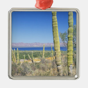 Mexico, Baja California Sur, Mulege, Bahia Metal Ornament