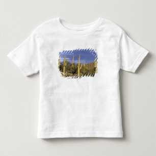 Mexico, Baja del Norte, Catavina Desert National 2 Toddler T-Shirt