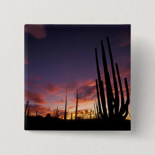 Mexico, Baja del Norte, Catavina Desert National 3 15 Cm Square Badge