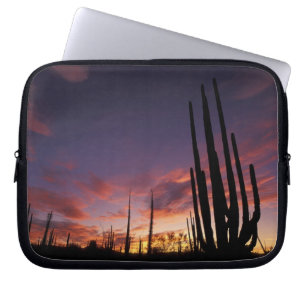 Mexico, Baja del Norte, Catavina Desert National 3 Laptop Sleeve