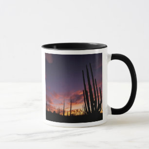 Mexico, Baja del Norte, Catavina Desert National 3 Mug