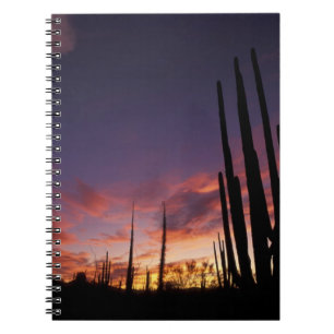 Mexico, Baja del Norte, Catavina Desert National 3 Notebook