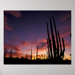 Mexico, Baja del Norte, Catavina Desert National 3 Poster