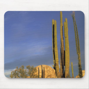 Mexico, Baja del Norte, Catavina Desert National Mouse Pad