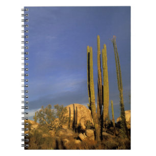 Mexico, Baja del Norte, Catavina Desert National Notebook