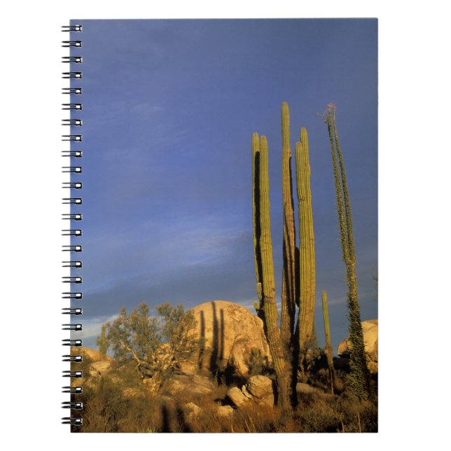 Mexico, Baja del Norte, Catavina Desert National Notebook (Front)