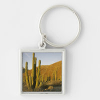 Mexico, Baja, Santa Catalina Island, Sea of