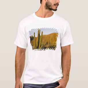 Mexico, Baja, Santa Catalina Island, Sea of T-Shirt