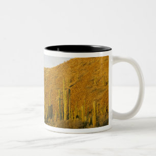 Mexico, Baja, Santa Catalina Island, Sea of Two-Tone Coffee Mug