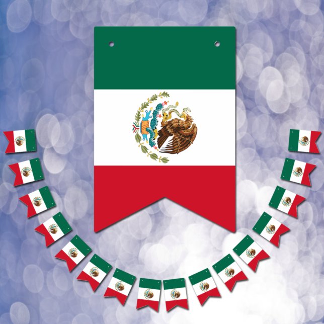 Mexico Banners, Mexican Flag Party / Wedding (Creator Uploaded)