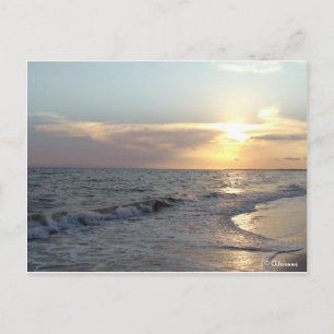 Mexico Beach, Florida Postcard