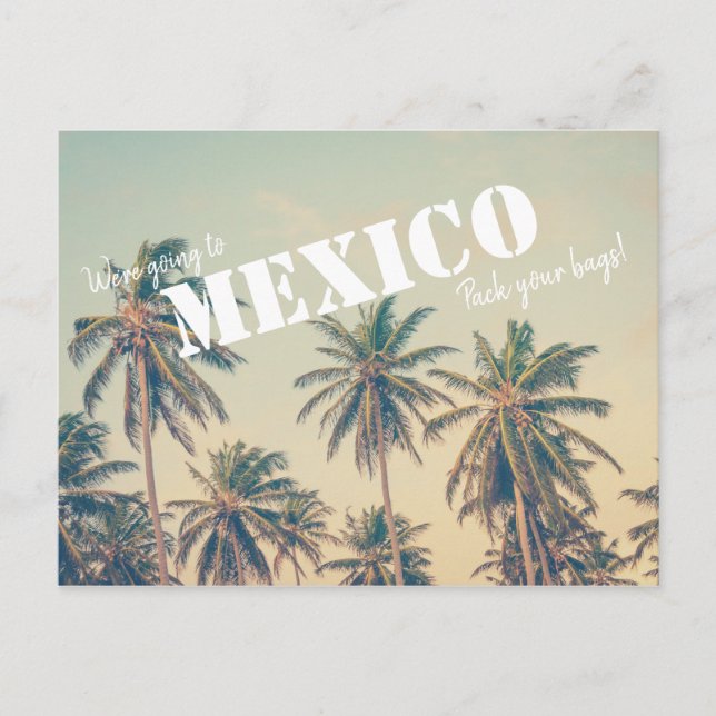 Mexico Beach Palm Tree Save the Dates Postcard (Front)