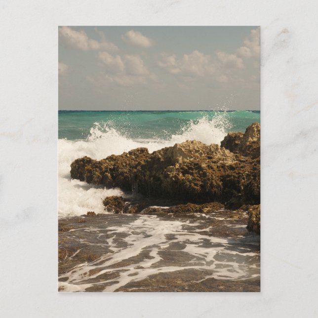 Mexico Beach Postcard (Front)