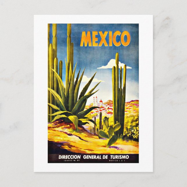 Mexico Cactus Vintage Travel Postcard (Front)