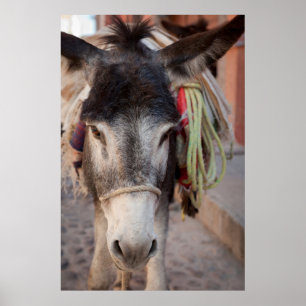 Mexico City, San Miguel De Allende Poster