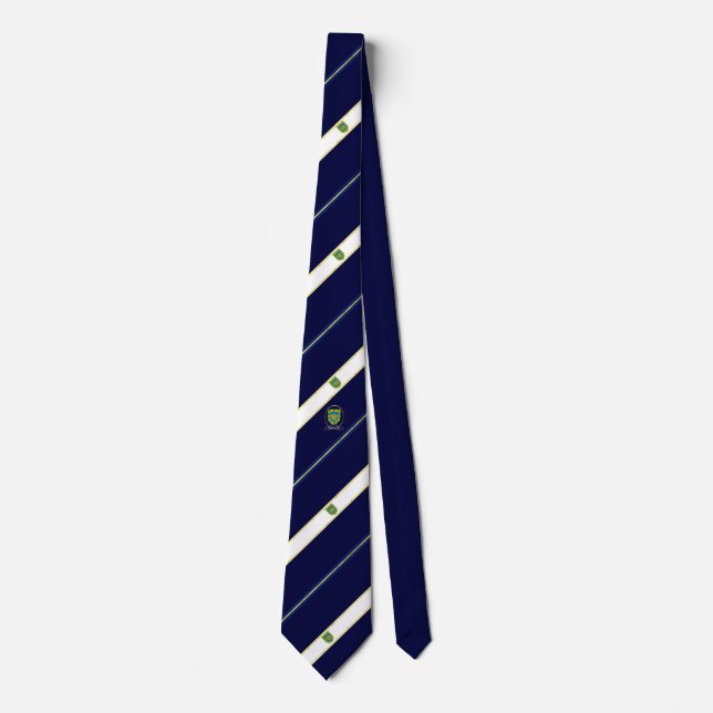 Mexico City stripes flag Tie (Front)