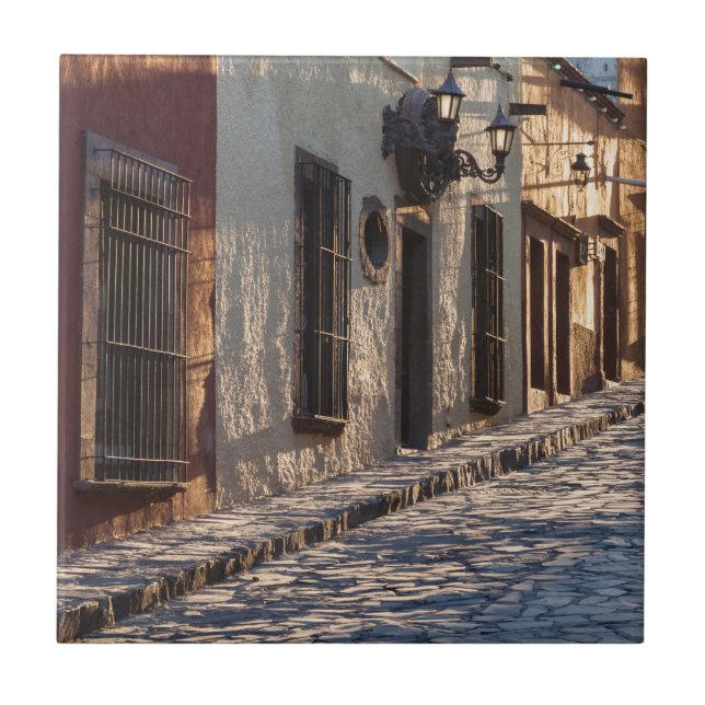 Mexico Cobblestone Street Ceramic Tile (Front)