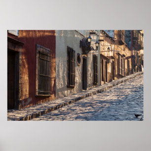 Mexico Cobblestone Street Poster
