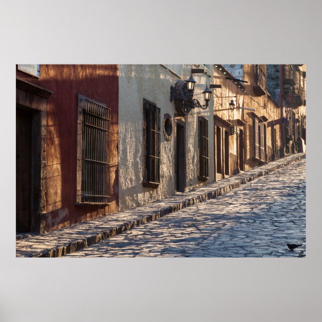 Mexico Cobblestone Street Poster (Front)