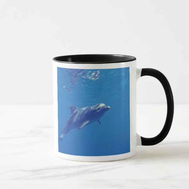 Mexico, Cozumel. Bottlenosed Dolphin Mug (Right)