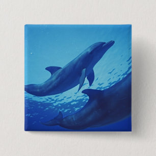 Mexico, Cozumel. Bottlenosed Dolphin, Tursiops 15 Cm Square Badge