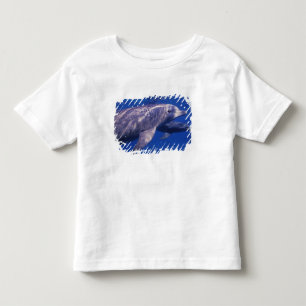 Mexico, Cozumel. Bottlenosed Dolphin, Tursiops 2 Toddler T-Shirt