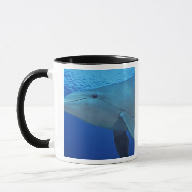 Mexico, Cozumel. Bottlenosed Dolphin, Tursiops 4 Mug (Left)