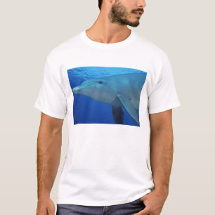 Mexico, Cozumel. Bottlenosed Dolphin, Tursiops 4 T-Shirt