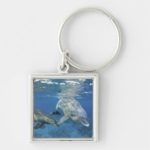 Mexico, Cozumel. Bottlenosed Dolphin, Tursiops 5 Key Ring
