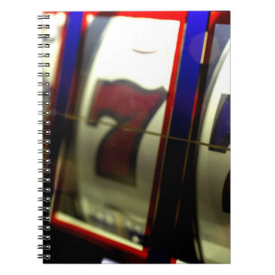 Mexico cruise. Princess Cruises Dawn Princess 3 Notebook