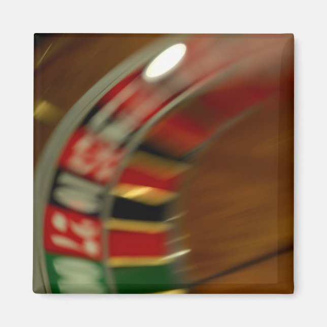 Mexico cruise. Princess Cruises Dawn Princess Magnet (Front)