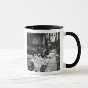 MEXICO, D.F., Mexico City, COYOACAN: Bench at Mug