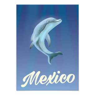 Mexico Dolphin Travel poster