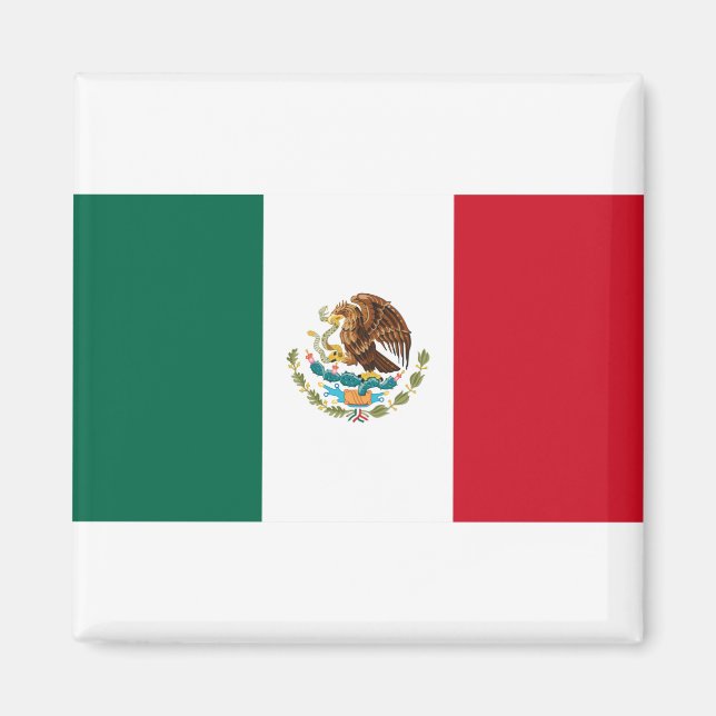 Mexico Flag Magnet (Front)