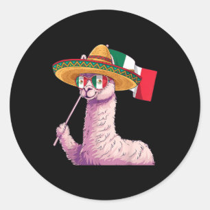 Mexico flag mexican pride mexican roots mexicanMex Classic Round Sticker