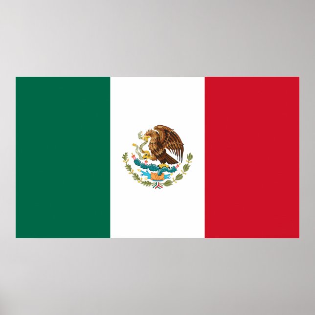 Mexico flag poster (Front)