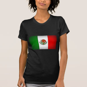 Mexico Flag Stylized T-Shirt